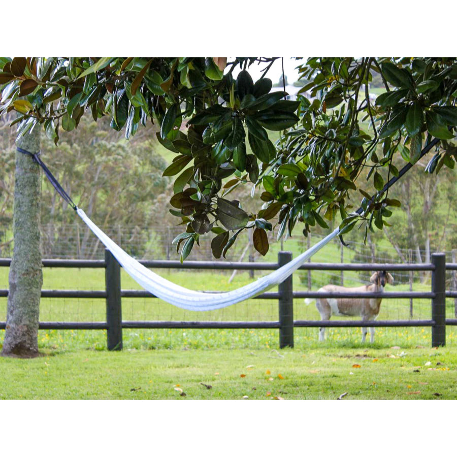 White hammock hanging between trees with a goat in the background