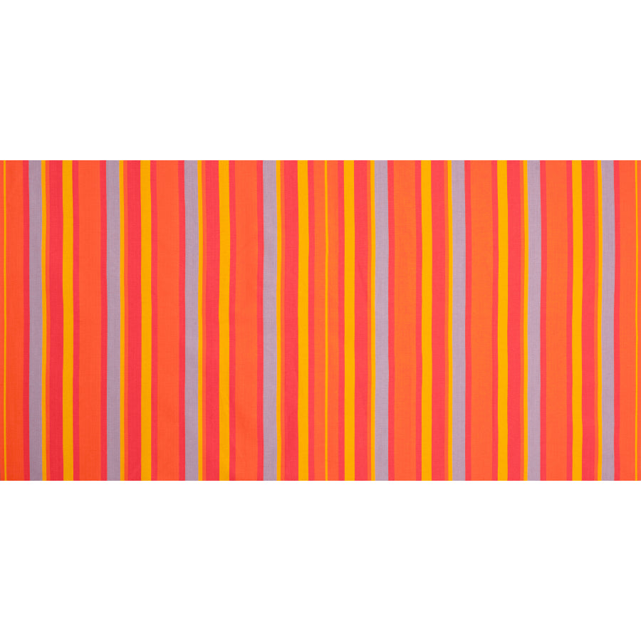 Toucan colour and pattern closeup